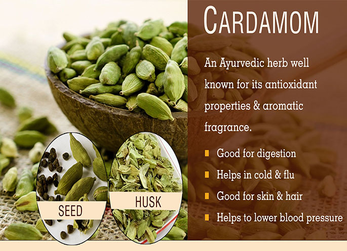 Green Cardamom